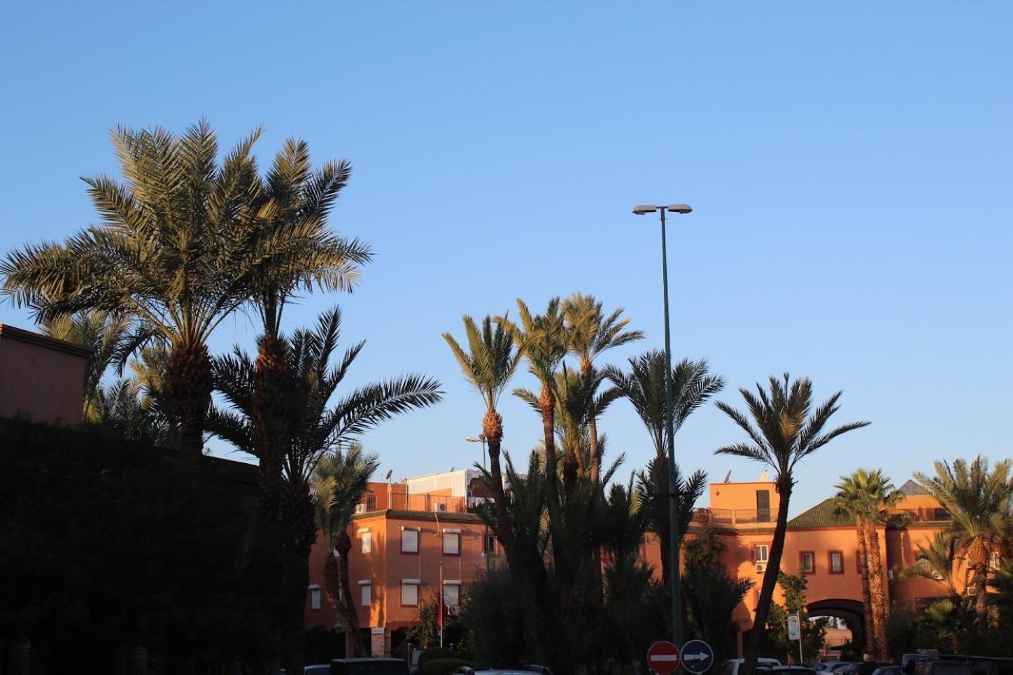 Riad Darnooz Marrakesh Esterno foto